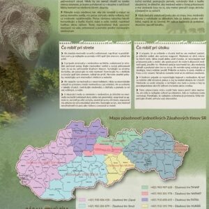 Medveď hnedý - Kontakty a ako sa správať v oblastiach s výskytom medveďa